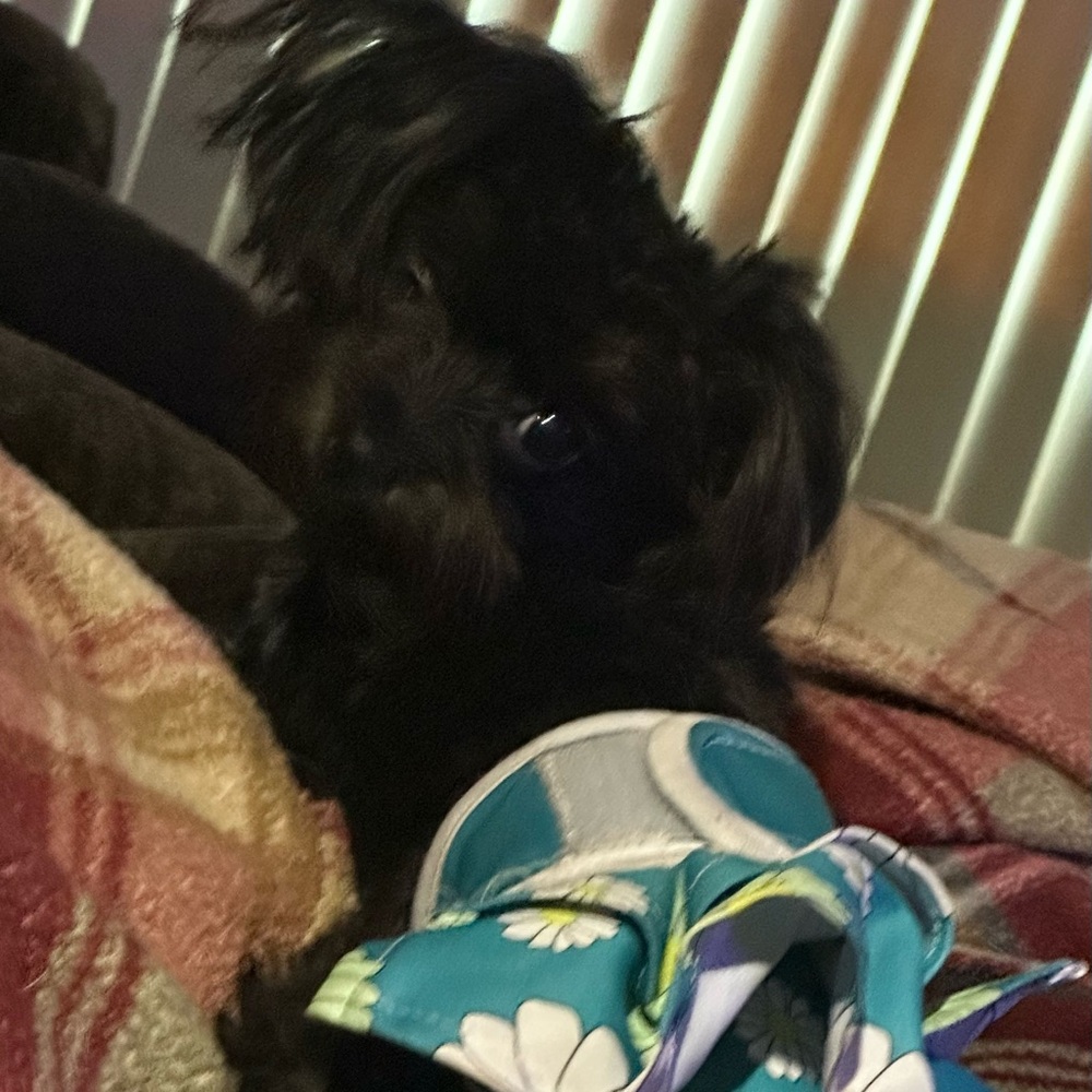 Meet your Posher, Melanie